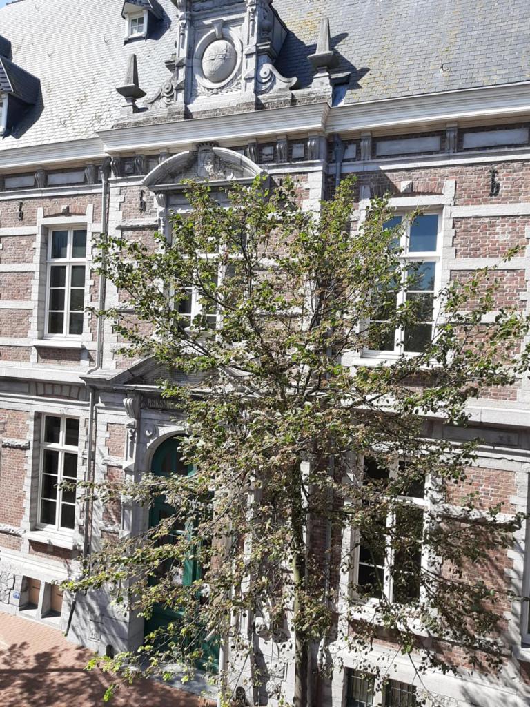 Vakantieappartement Belle Epoque Blankenberge photo 4