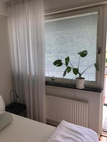 Lägenhet / studio i centrala Båstad photo 2