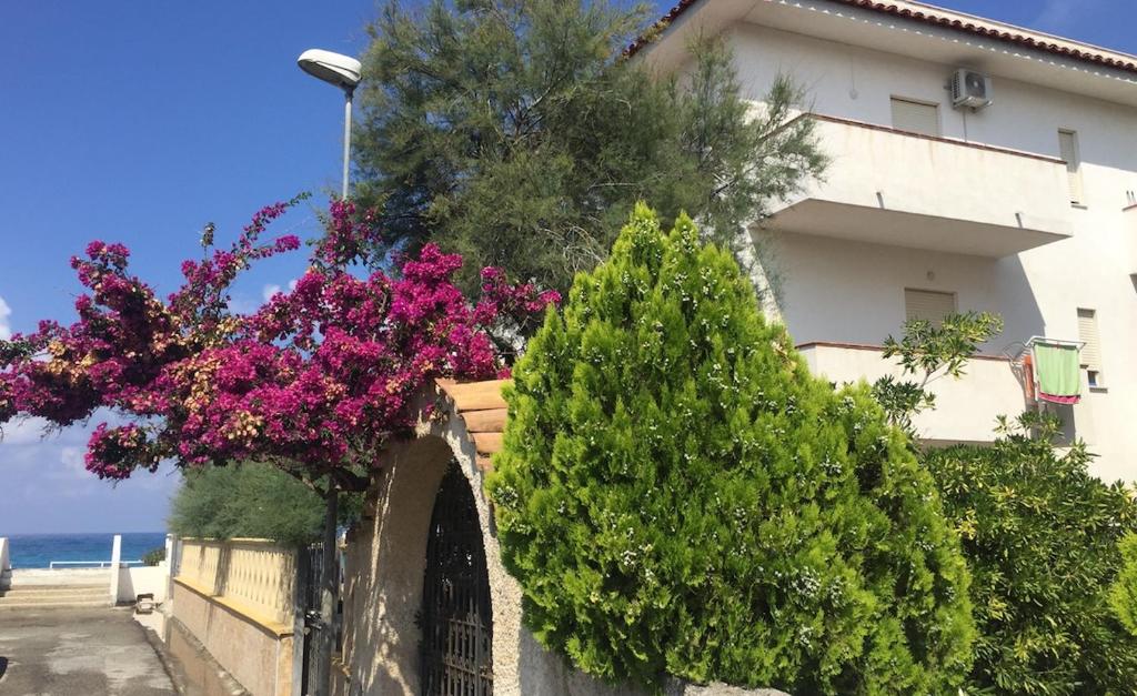 Rivamare Campora Casa Vacanze photo 3