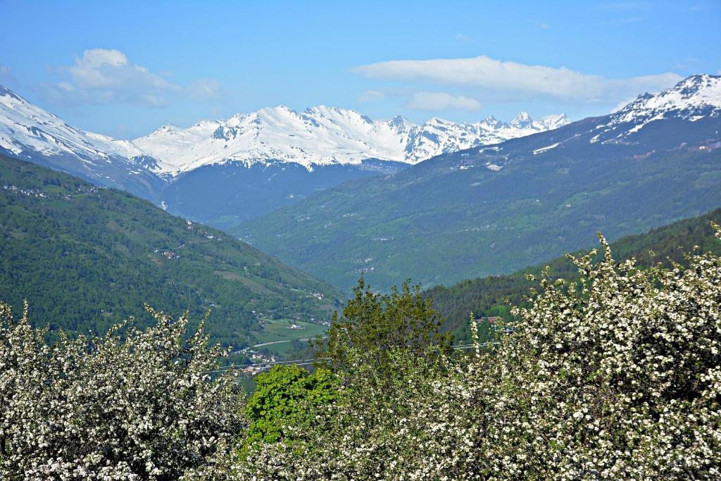 Gite-Auberge de Montvilliers photo 2