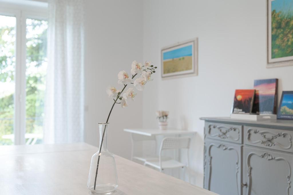 Amare Sirolo photo 3