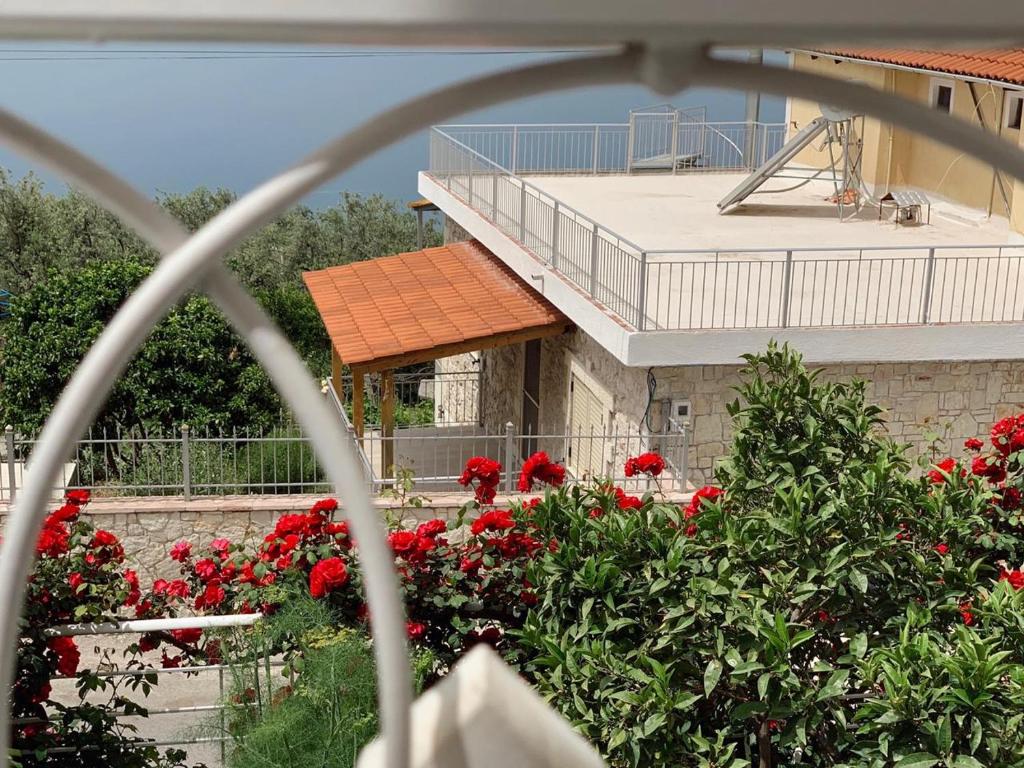 Holiday Home Ali photo 4