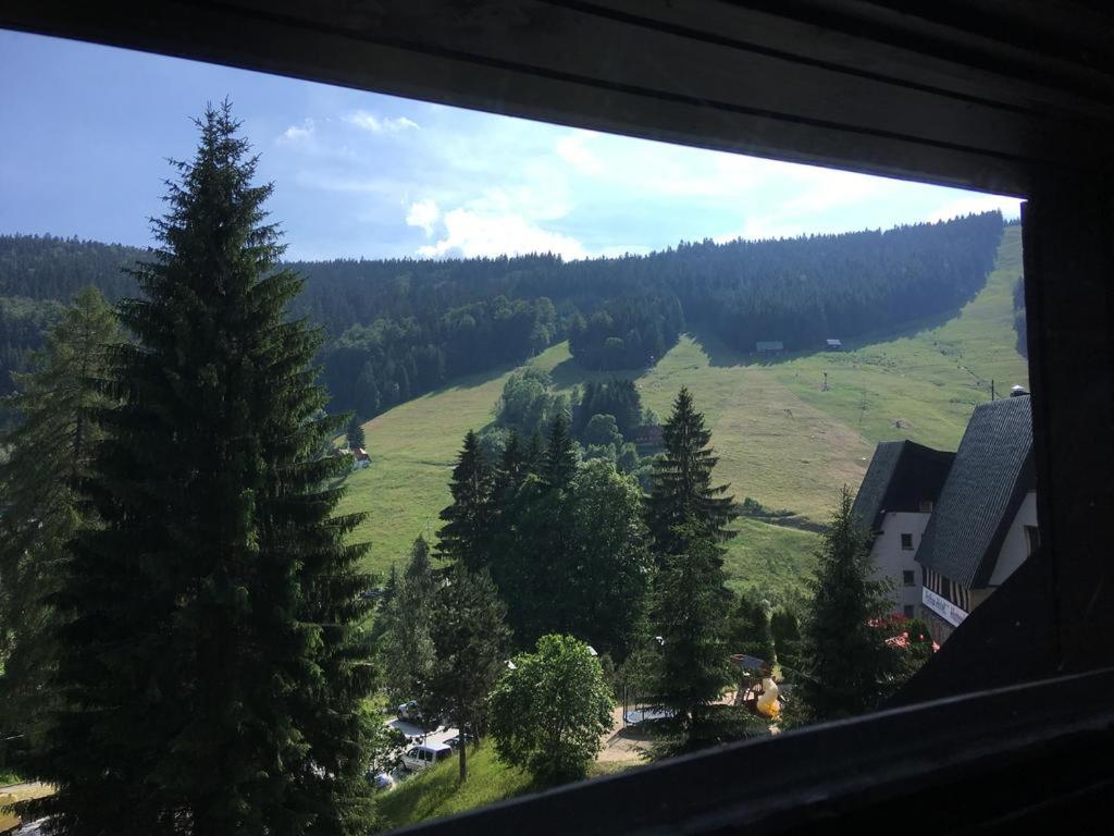 Penzion Union Harrachov photo 3