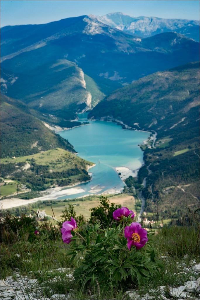 Le Chalet du Berger photo 4