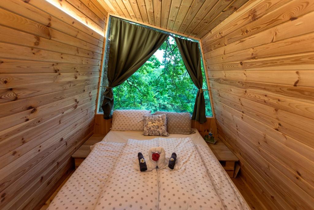 Glamping Health Resort photo 1