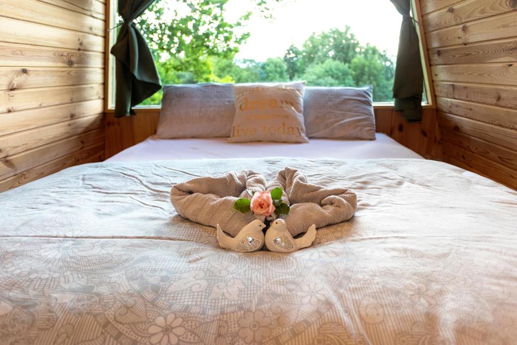 Glamping Health Resort photo 2