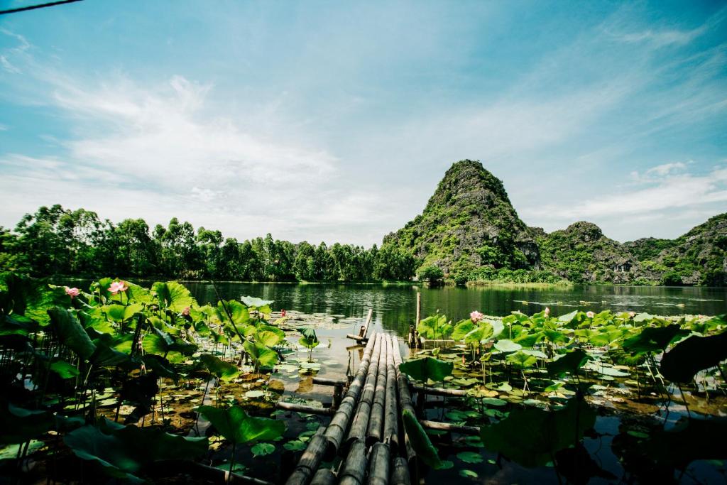 Trang An Lotus Lake Homestay