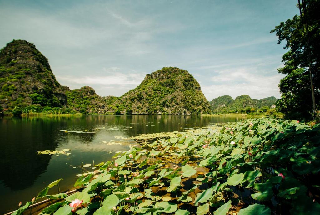 Trang An Lotus Lake Homestay