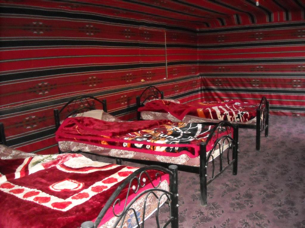 Bedouin House Camp photo 2