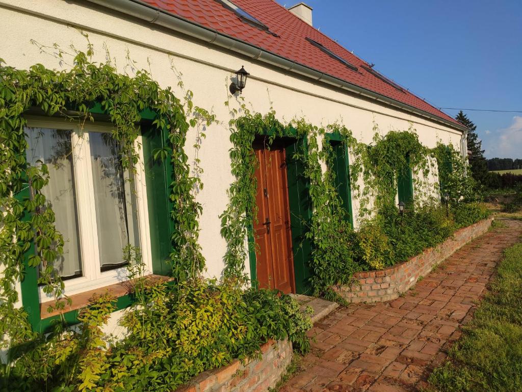 Srokowski Dwór 1 - Mazurski Dwór - 450m2 - Sauna! photo 2