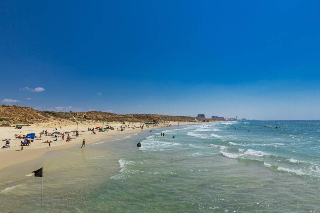 Beautiful 2bd family apt by the beach - pool & parking & gym photo 4