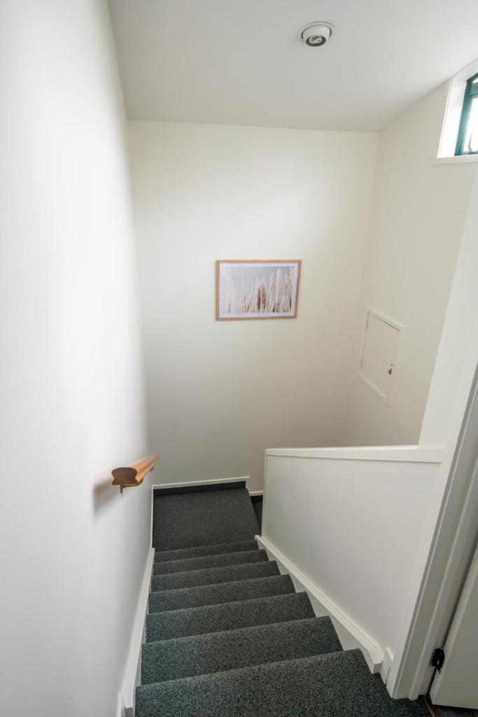 Cambridge Mews Motel photo 4