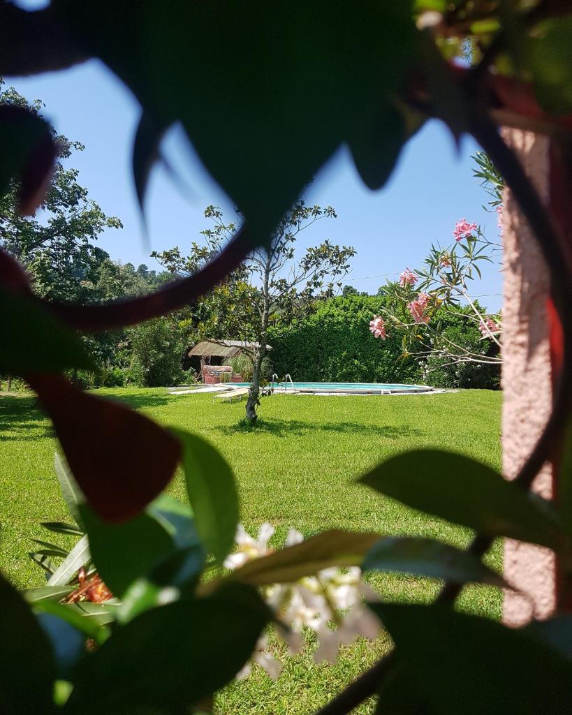 Casa Pilar photo 2