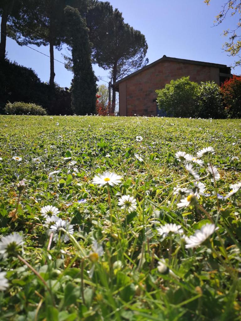 Alloggio Al San Girolamo photo 4