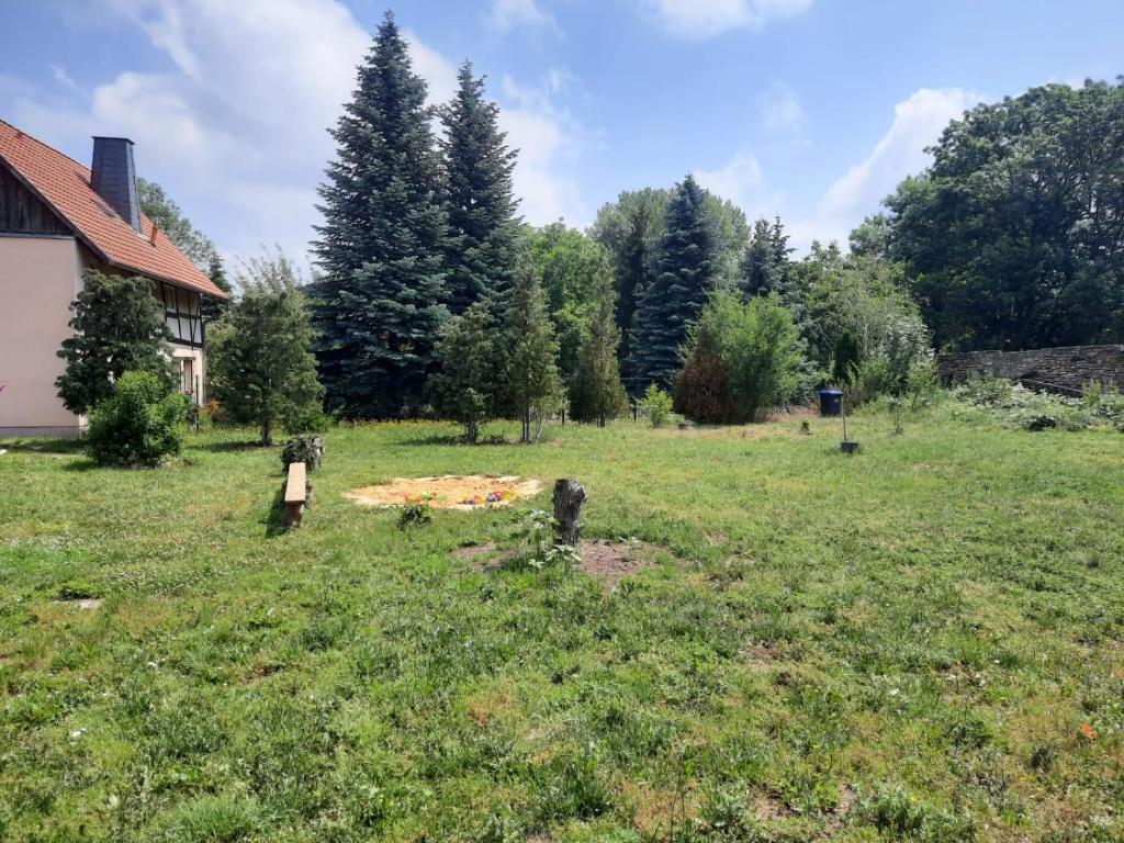 Villa Windschief photo 3