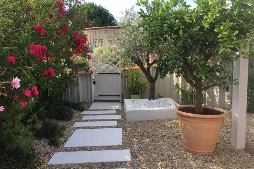 Villa bord de mer photo 1