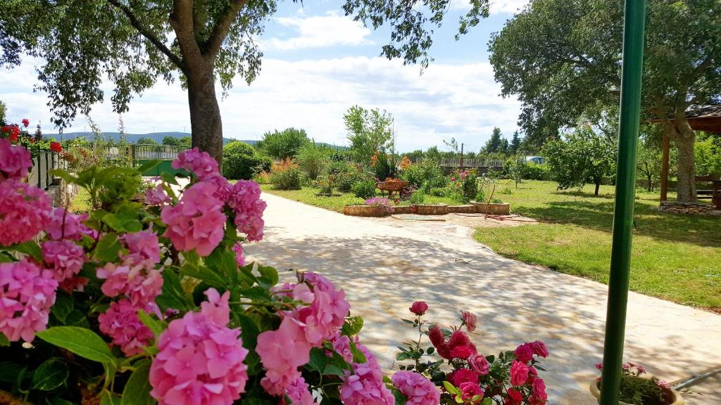 Village House Fafarinka - close to Krka National Park photo 2