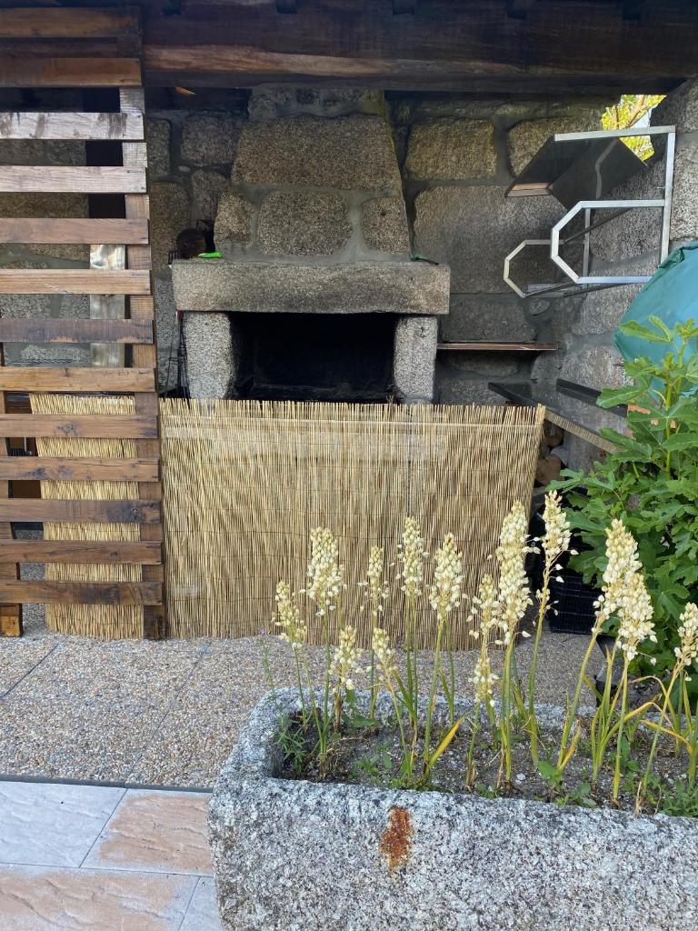 Havan House photo 1