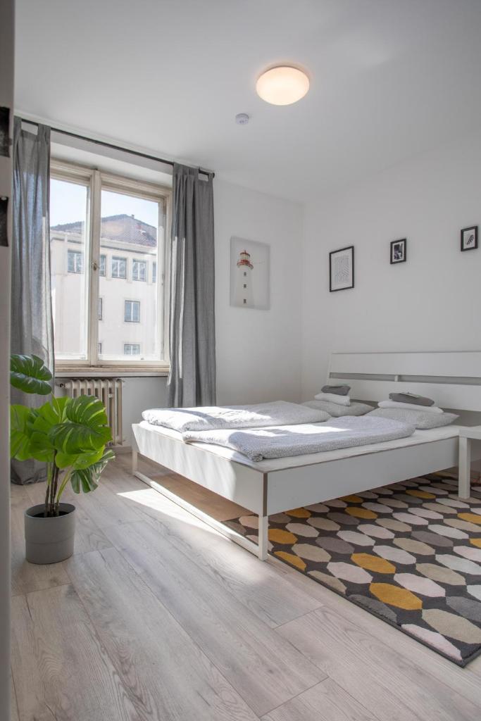 Apartment in the City Center photo 1