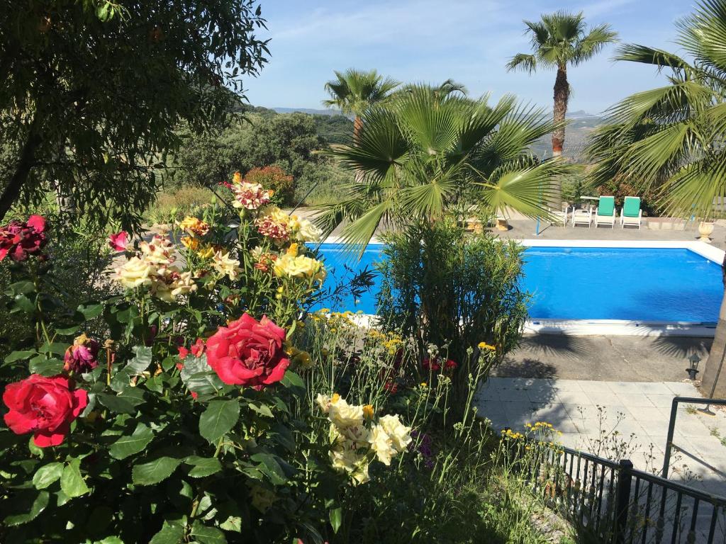 La Casita De Campo photo 3
