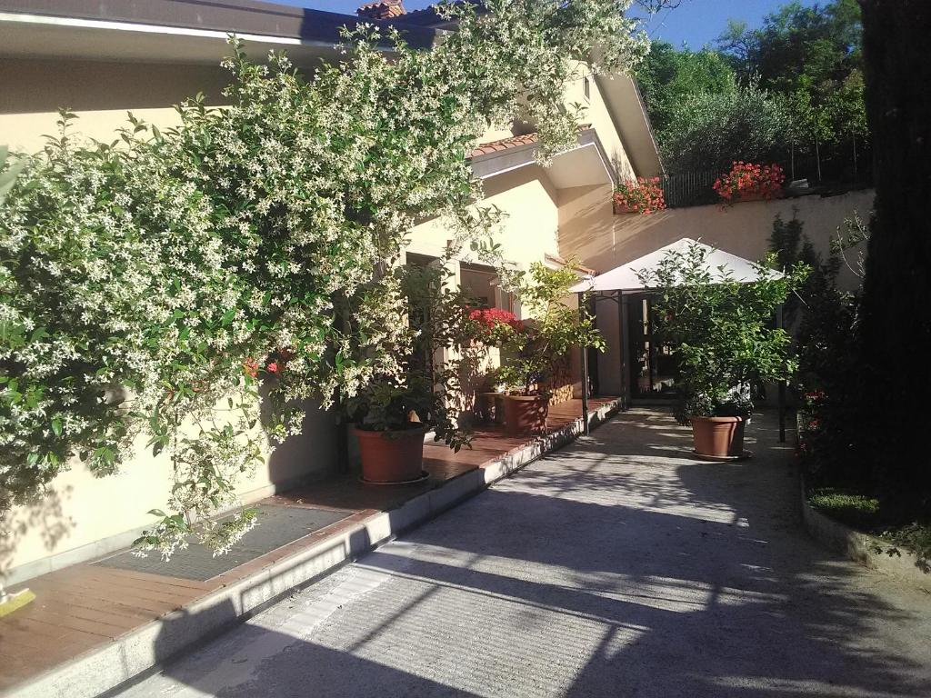 Villa Ambrosia photo 1