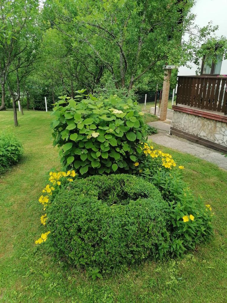 House Jezerka photo 2