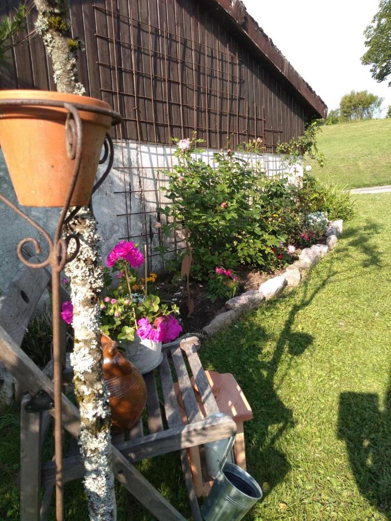 Kim`s Cottage photo 4