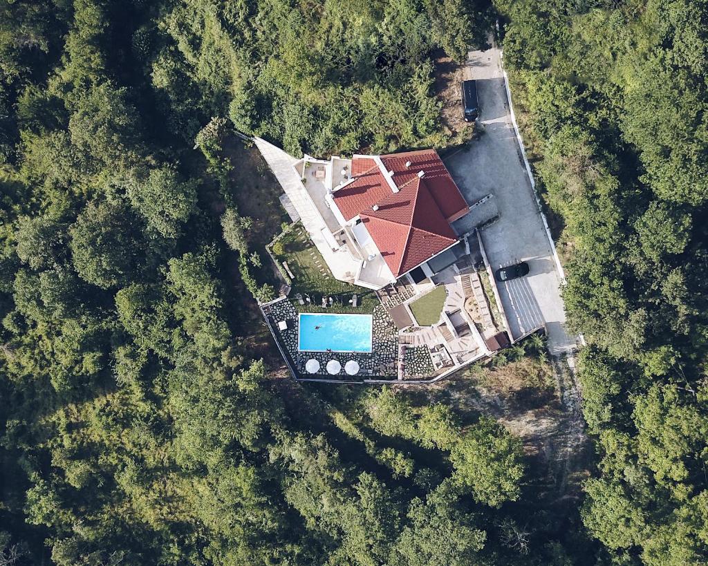 Forest Suites Boutique Hotel photo 1