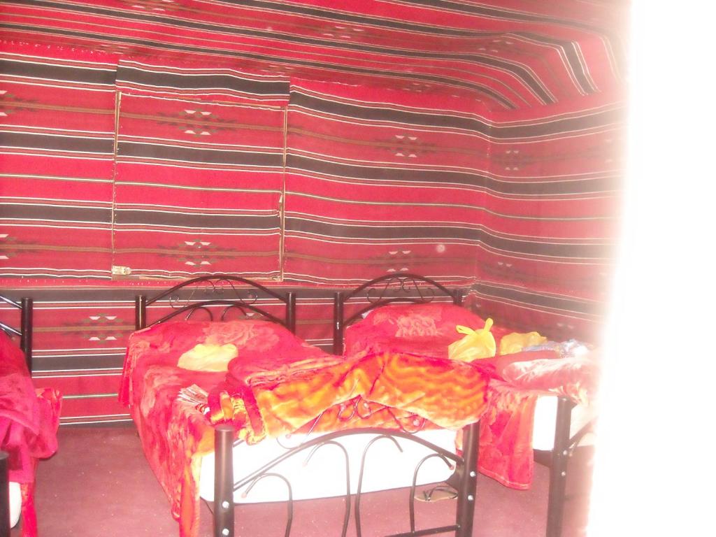 Bedouin House Camp photo 3
