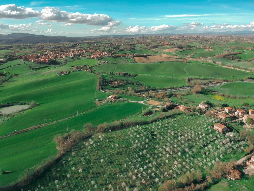 Tenuta La Santissima photo 1