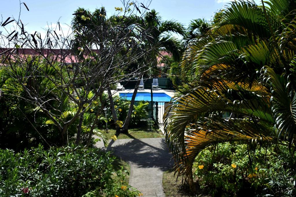 La Kallina photo 2