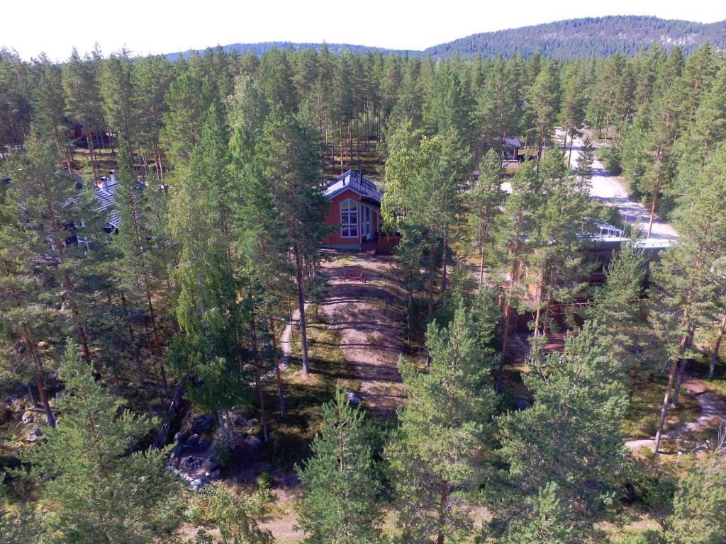KolinPilvi photo 3
