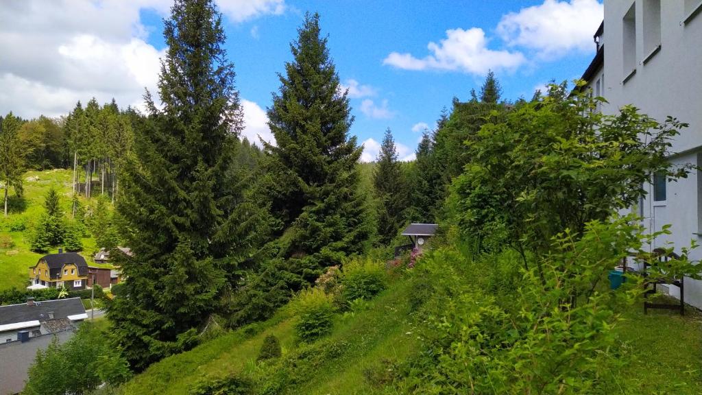 Greizer Kammhütte Gaststätte & Pension photo 1