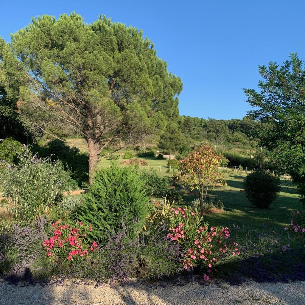 Chambre d'hôtes Le Cèdre photo 3