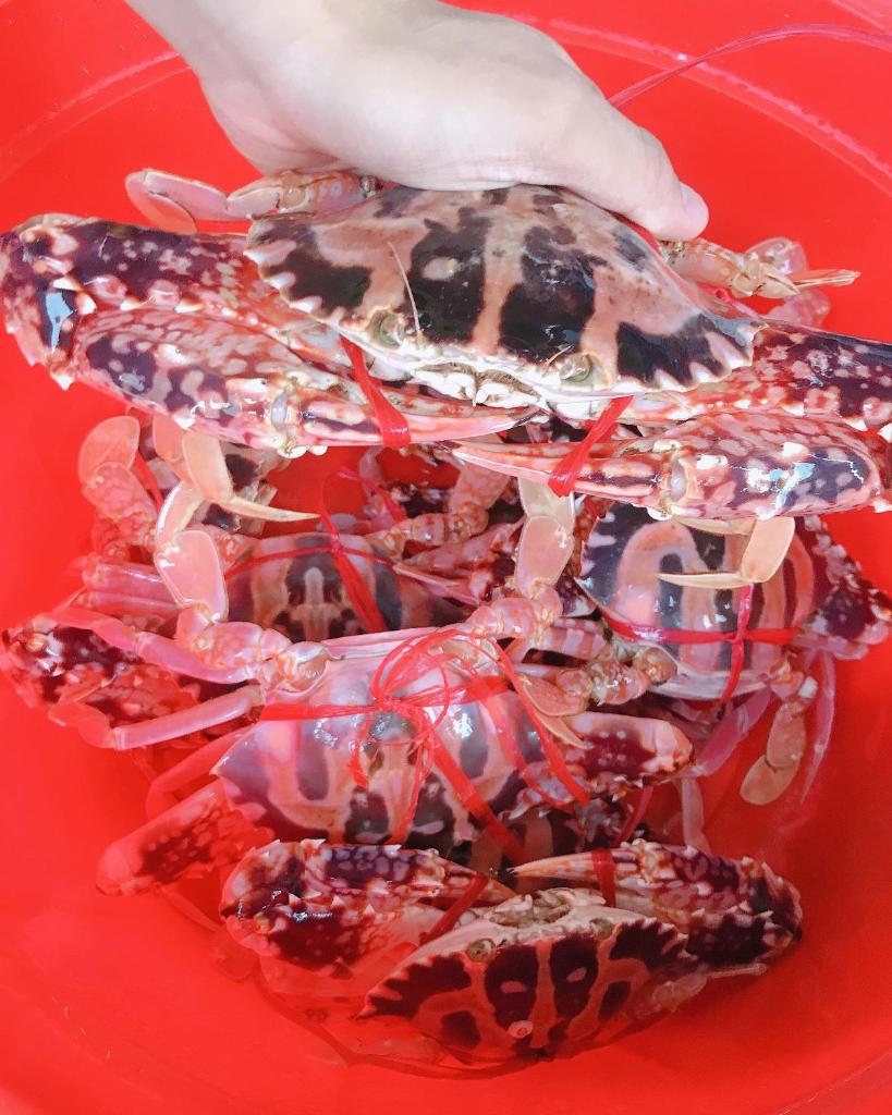 Phương Thuỷ Hotel