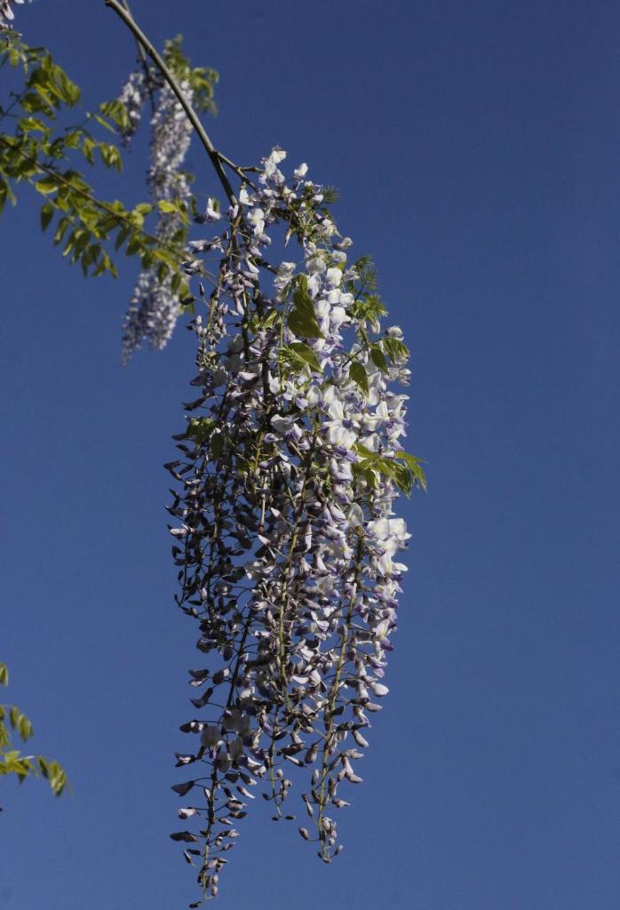 Agroturystyka U Iwonki photo 3