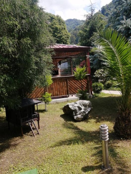 Vacation Home Nukri photo 4