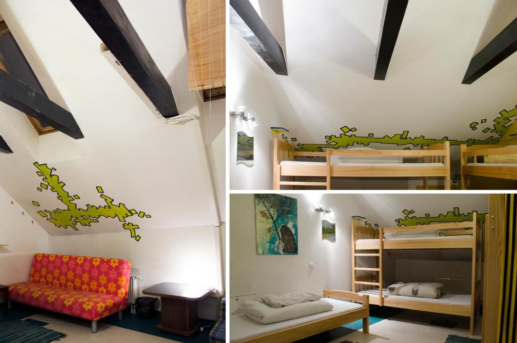 Номер (Кровать в общем 6-местном номере для мужчин и женщин), Pogo Hostel