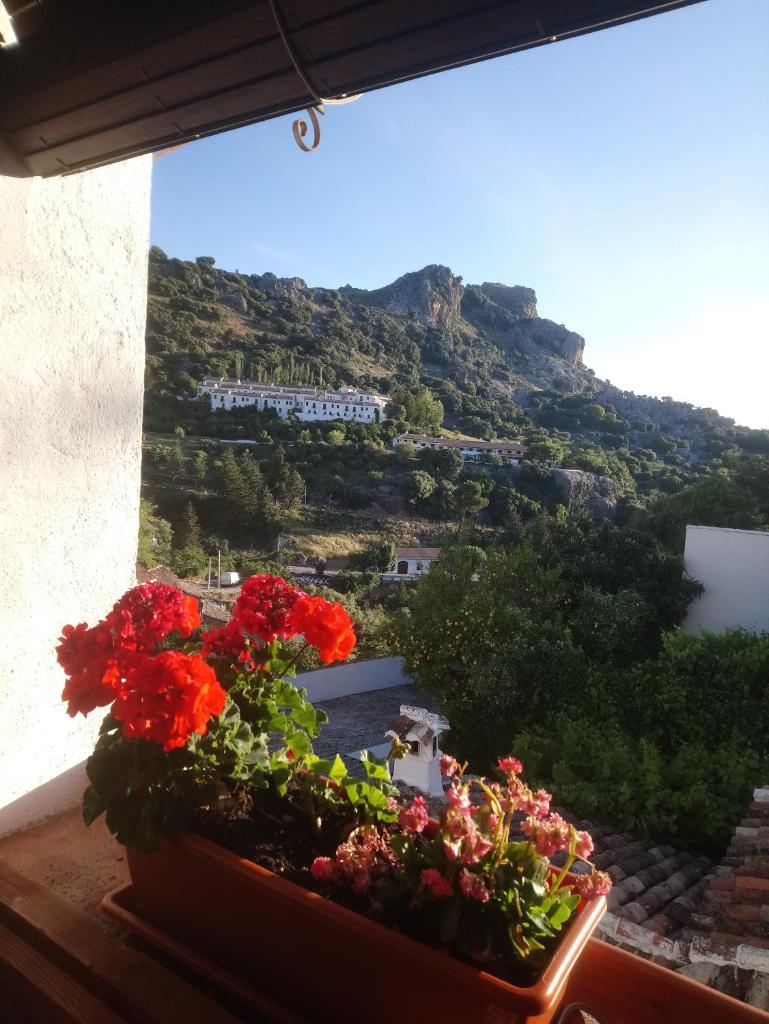 Casa Rural en Grazalema photo 1