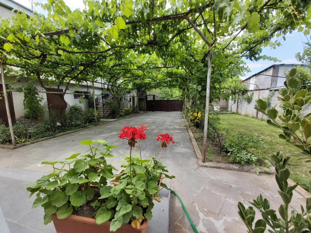 Olimpo Guest House - Tap to explore photos