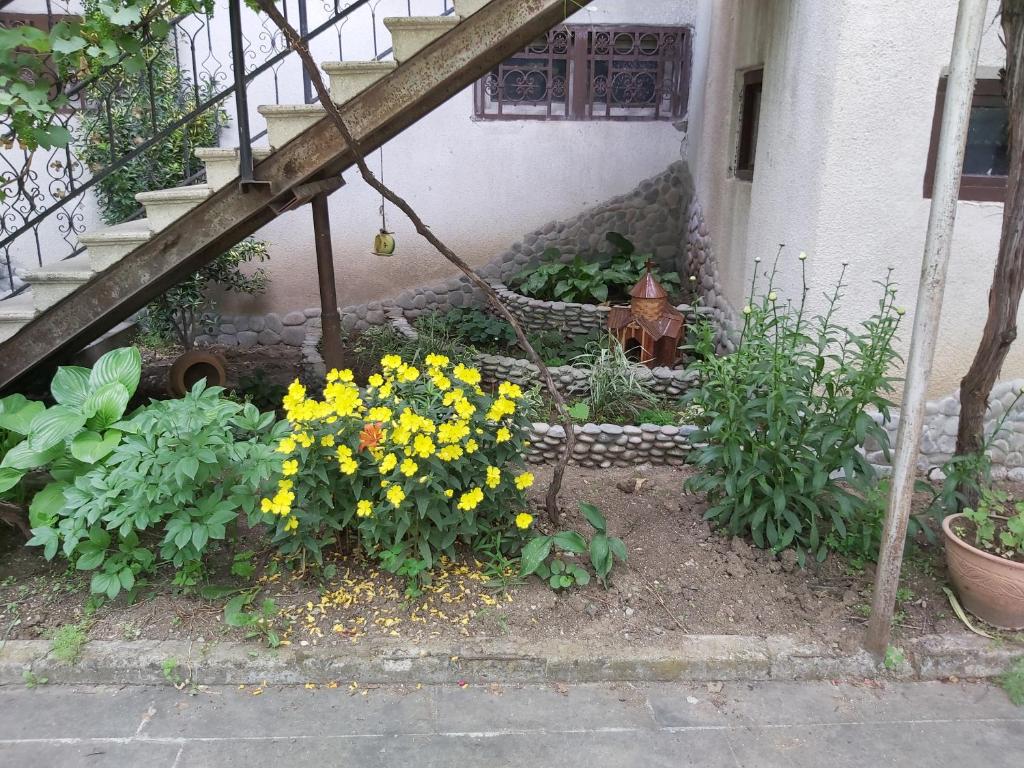 Olimpo Guest House photo 2