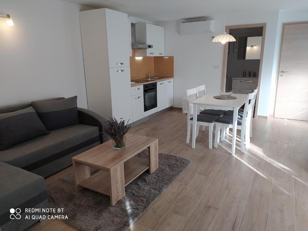 Apartment Bruno photo 3