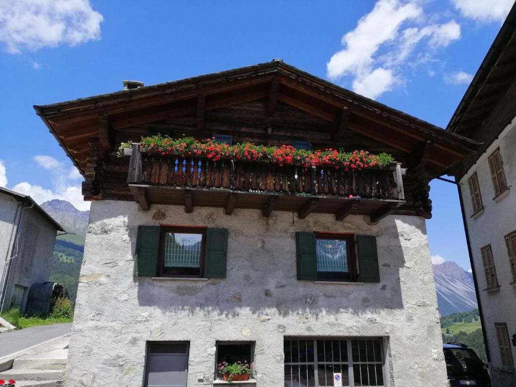 Casa Laura photo 3