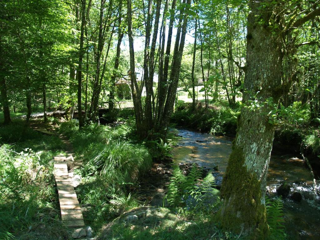 Gîte Nature photo 4