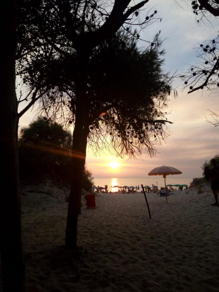 Casa vacanze "ALIZZA" photo 3