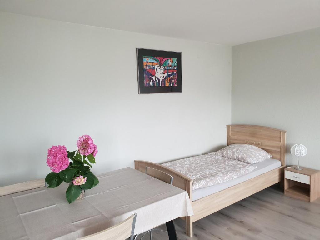 Mainzimmer Business Appartment - Monteurwohnung mit Burgblick photo 2