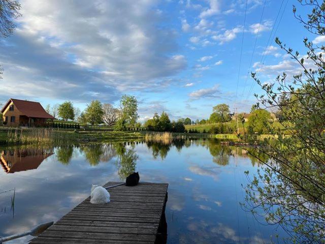 Ranczo nad Stawem photo 1