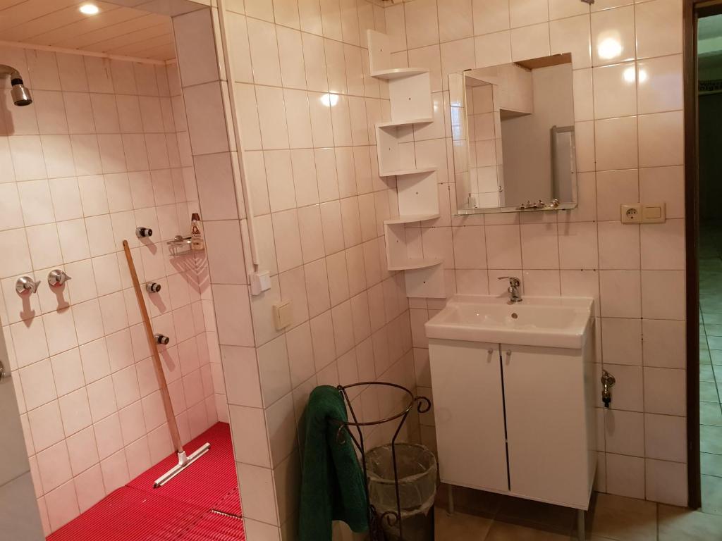 Ferienwohnung und Monteurwohnung mit großer begehbarer Dusche photo 2