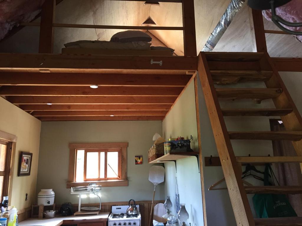 Maple Heart Ranch photo 2