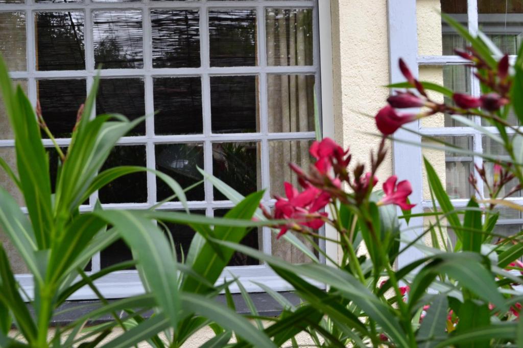 Maison d'Hôtes La Chouanniere photo 3
